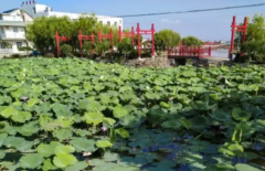 象山大塘岛望海雅居农家院